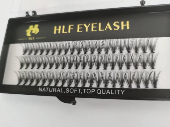 Cils 10d 0.07 0.10mm Heat Bonded Premade Volume Fan Lashes Extensions de cils en soie de faux vison