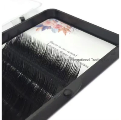 Haute Qualité Grand Plateau Facile Fanning Extensions De Cils CD Curl Meilleur Sellingmink En Gros Vente Chaude Noir Cils Synthétiques